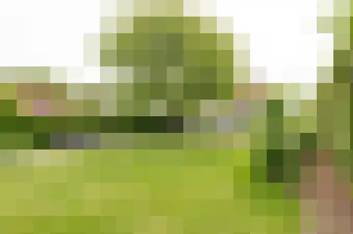 Markt 15 Beusichem thumbnail 34