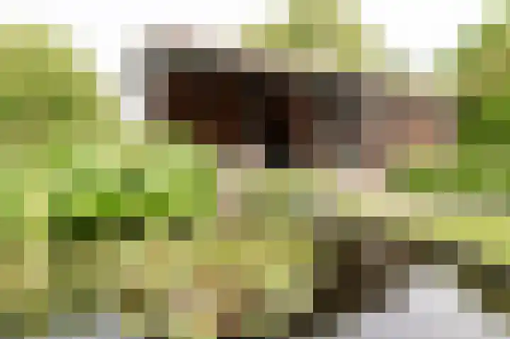 Markt 15 Beusichem thumbnail 36
