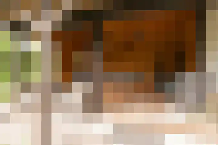 Markt 15 Beusichem thumbnail 37