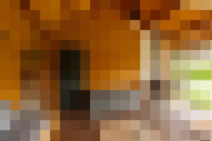 Markt 15 Beusichem thumbnail 39