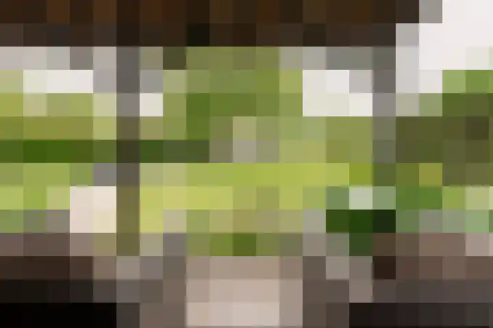 Markt 15 Beusichem thumbnail 41