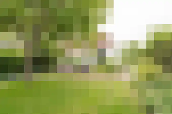 Markt 15 Beusichem thumbnail 42