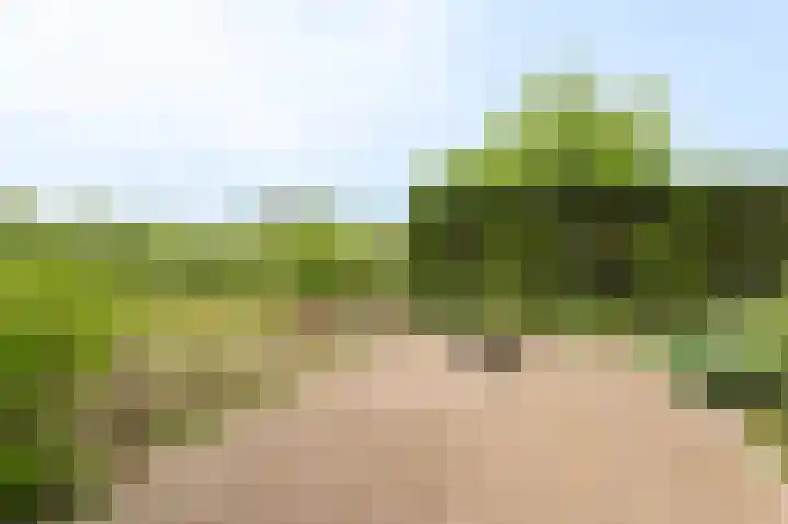 Markt 15 Beusichem thumbnail 43