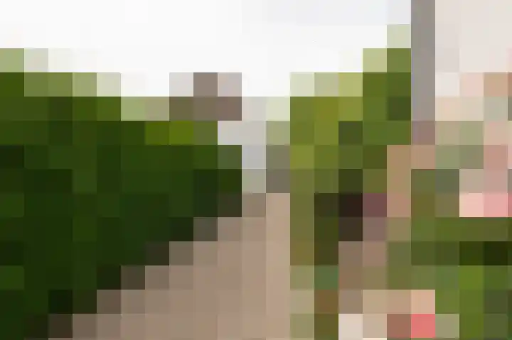 Markt 15 Beusichem thumbnail 5