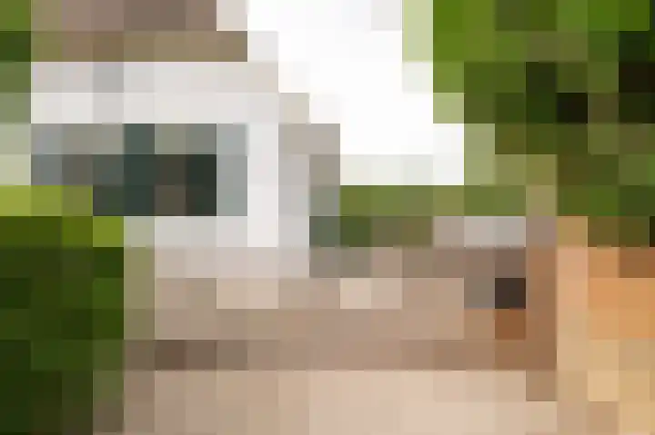 Markt 15 Beusichem thumbnail 6