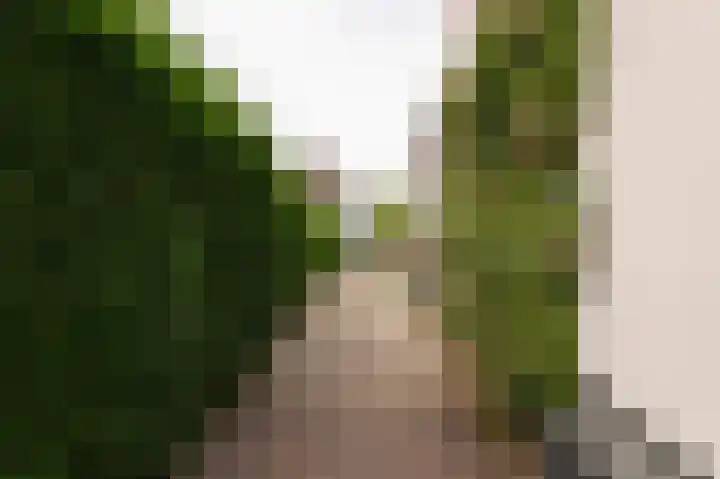 Markt 15 Beusichem thumbnail 73