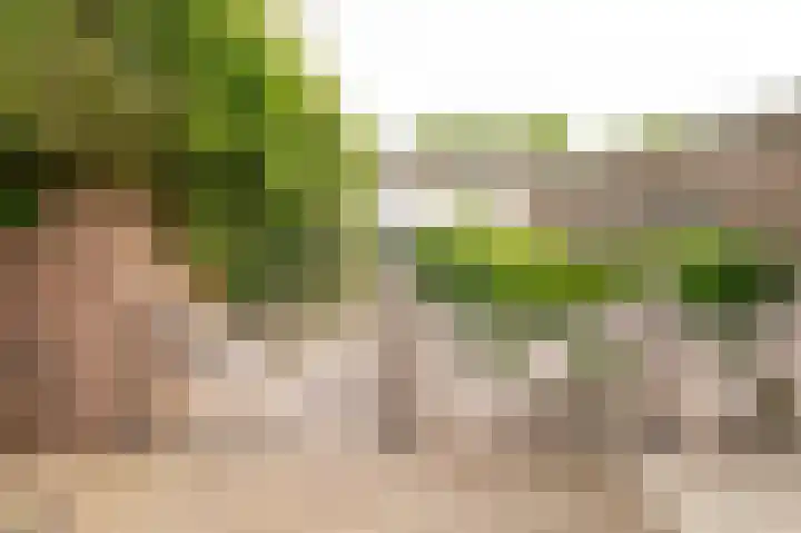 Markt 15 Beusichem thumbnail 75
