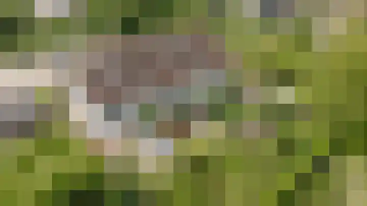 Markt 15 Beusichem thumbnail 76