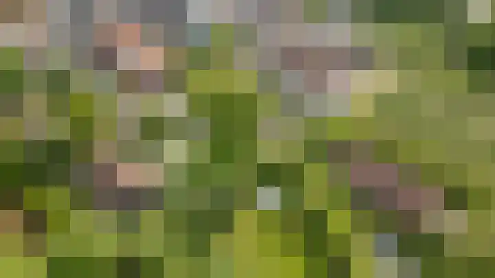 Markt 15 Beusichem thumbnail 79