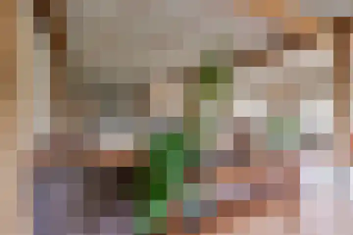 Markt 15 Beusichem thumbnail 8