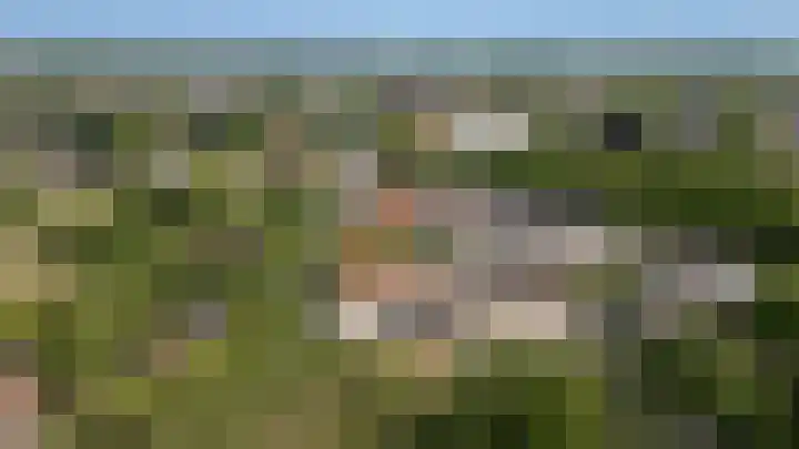 Markt 15 Beusichem thumbnail 80
