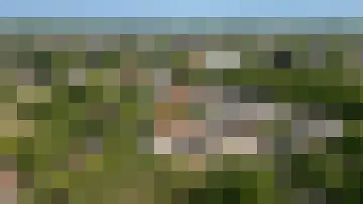 Markt 15 Beusichem thumbnail 81