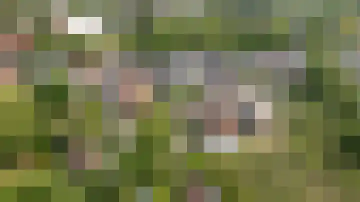 Markt 15 Beusichem thumbnail 85