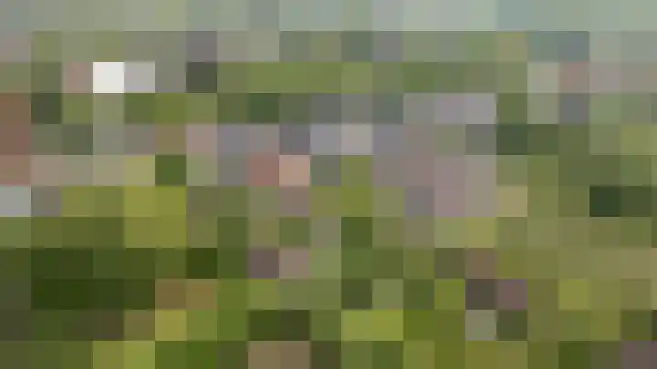 Markt 15 Beusichem thumbnail 86