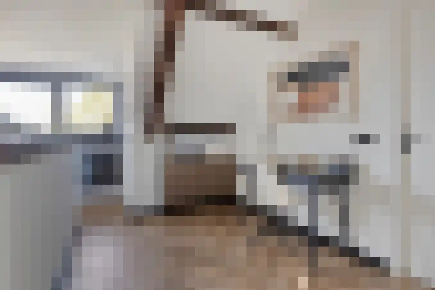 Markt 15 e Oudenbosch thumbnail 10