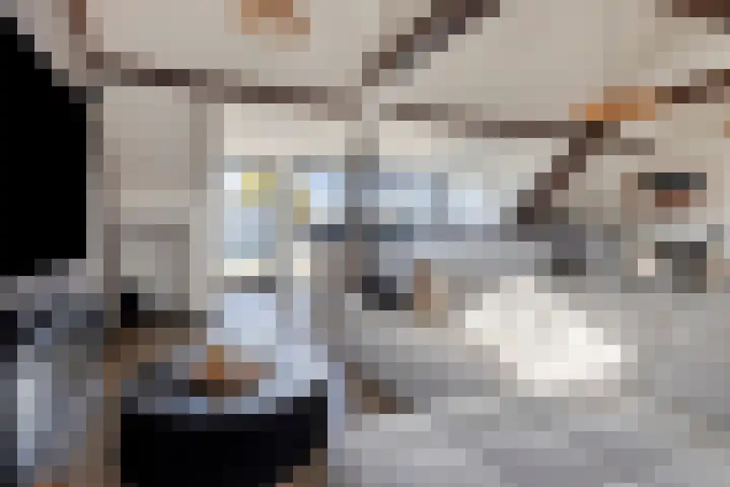 Markt 15 e Oudenbosch thumbnail 8