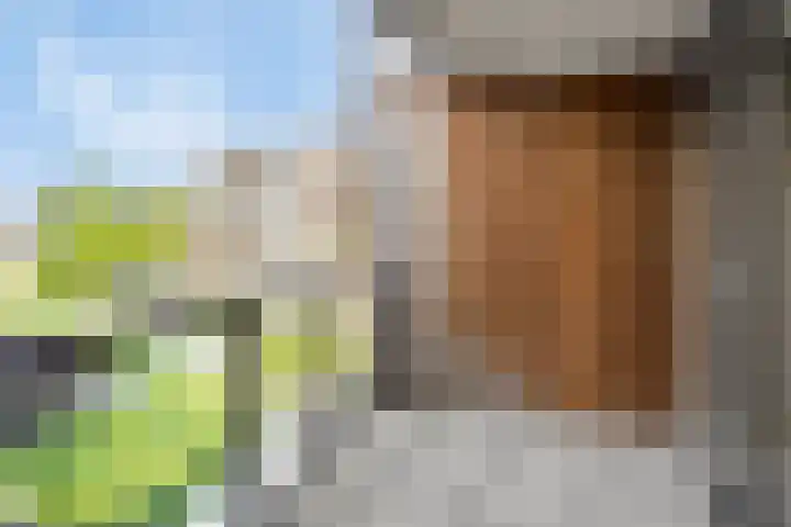 Markt 15 G Veghel thumbnail 23