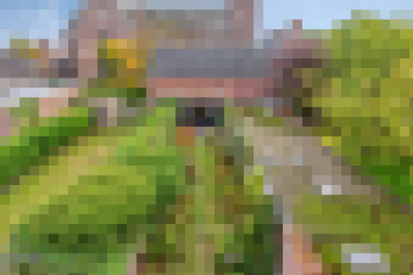 Markt 15 IJzendijke thumbnail 31