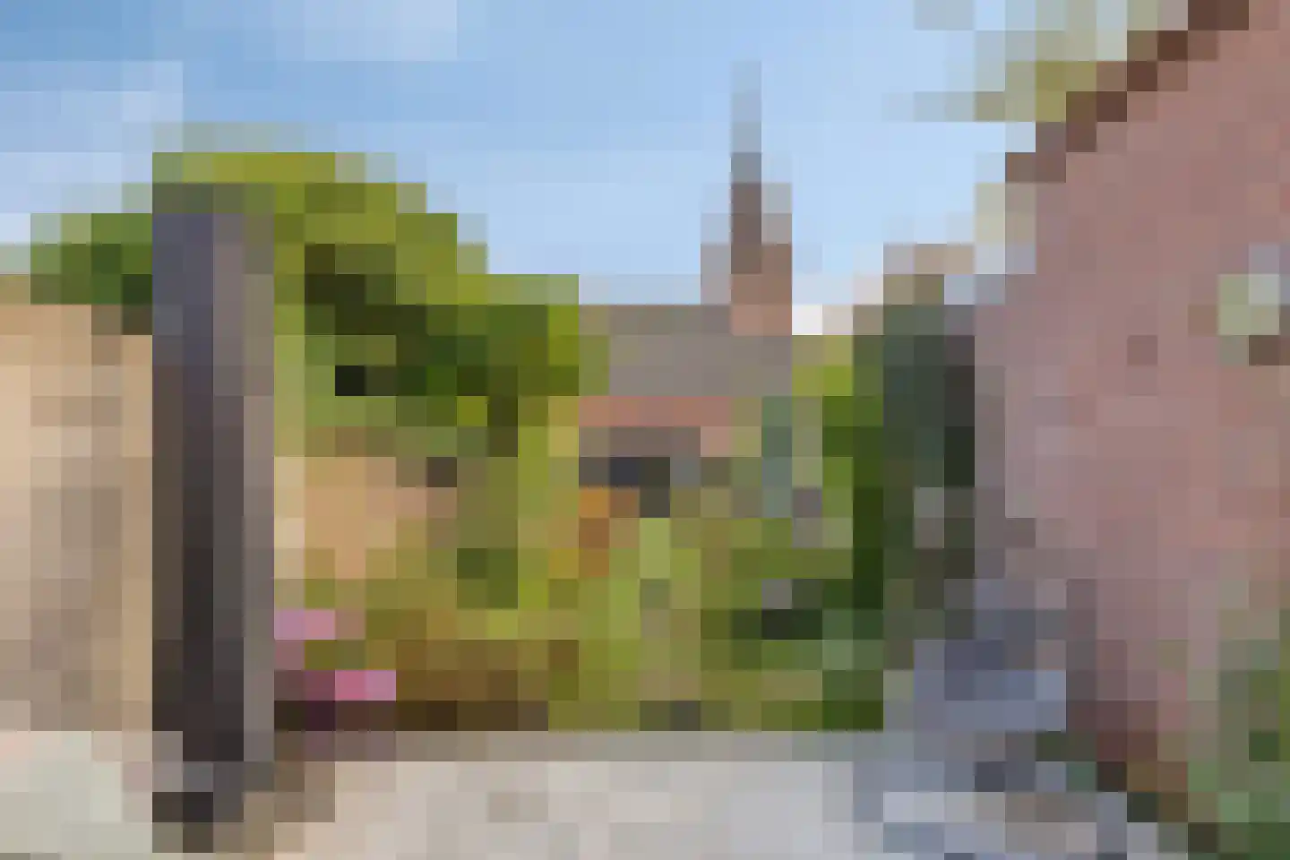 Markt 15 IJzendijke thumbnail 34