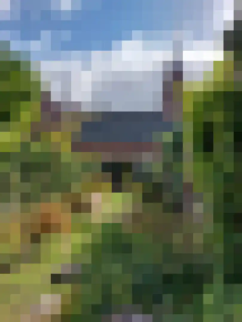 Markt 15 IJzendijke thumbnail 36
