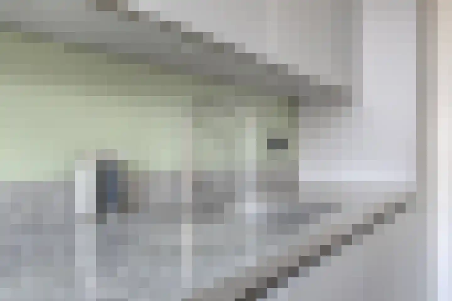 Markt 15 IJzendijke thumbnail 8