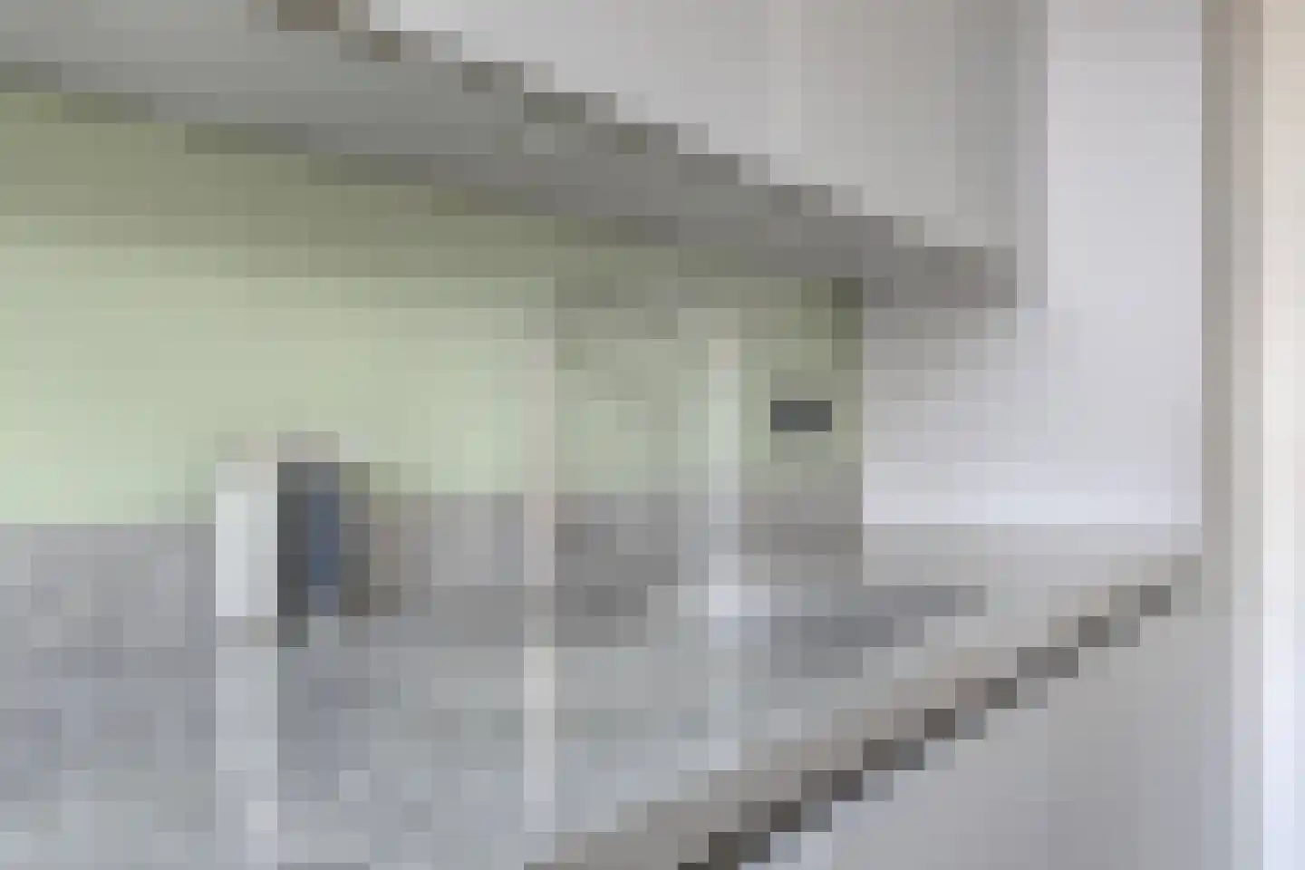 Markt 15 IJzendijke thumbnail 8