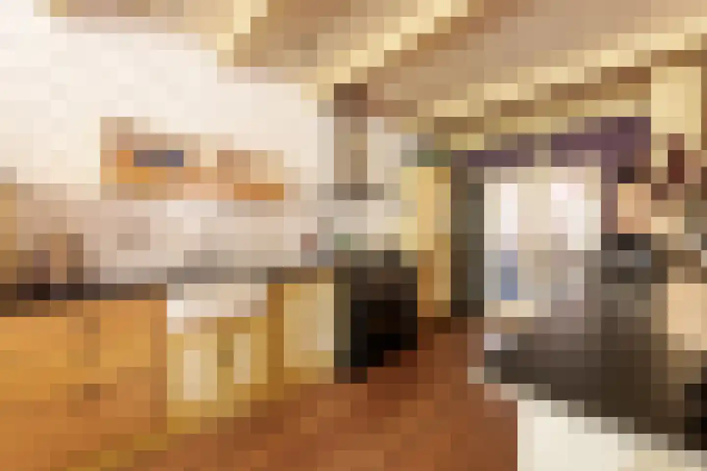 Markt 15 Makkum thumbnail 18
