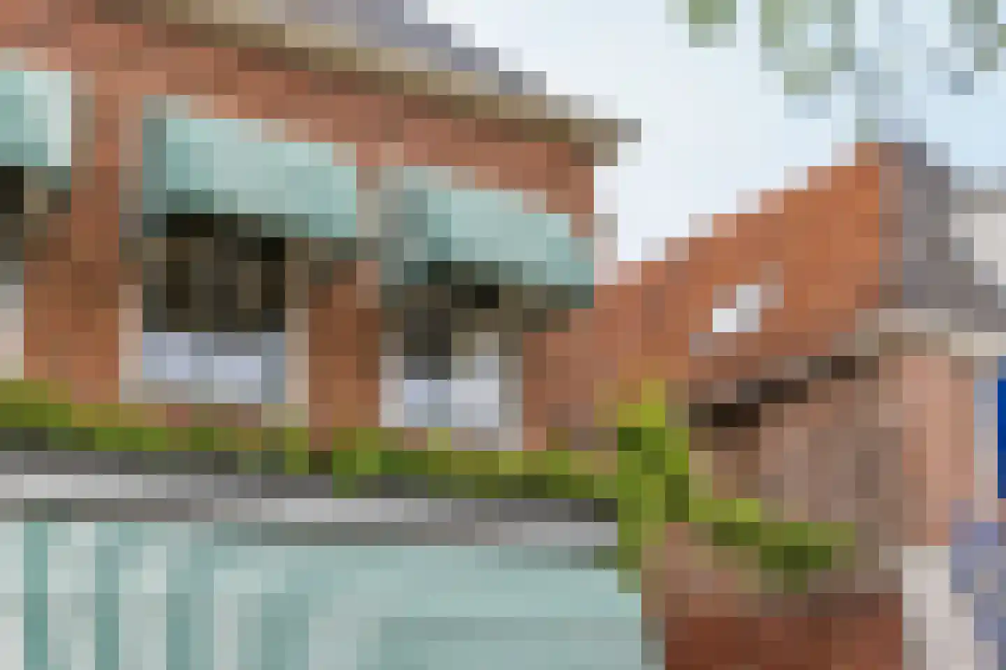 Markt 15 Makkum thumbnail 8