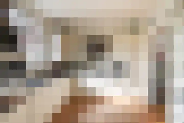 Markt 15 Poortvliet thumbnail 17