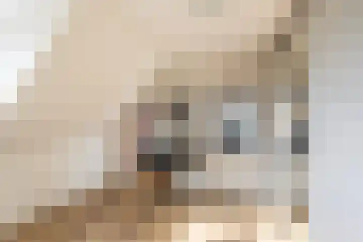 Markt 15 Poortvliet thumbnail 23