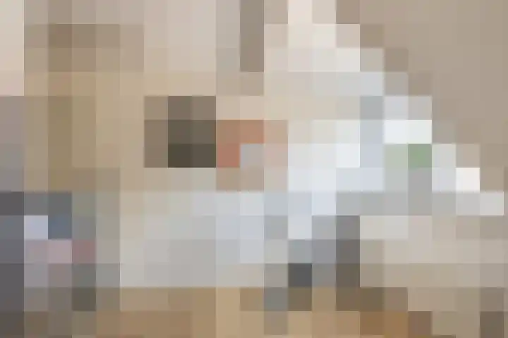 Markt 15 Poortvliet thumbnail 29