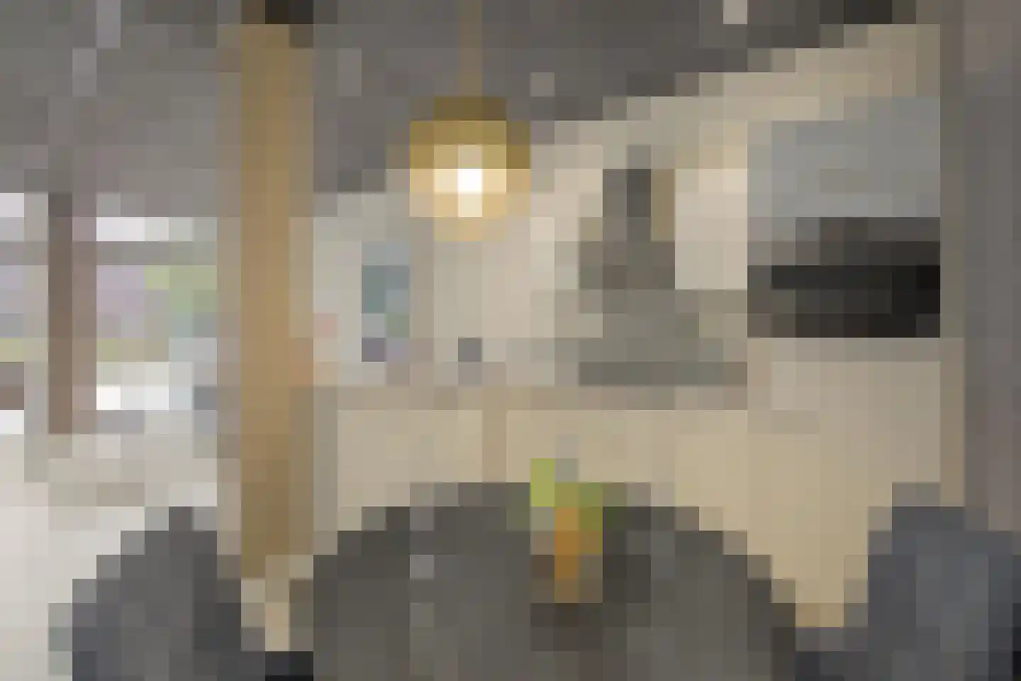 Markt 16 Axel thumbnail 12