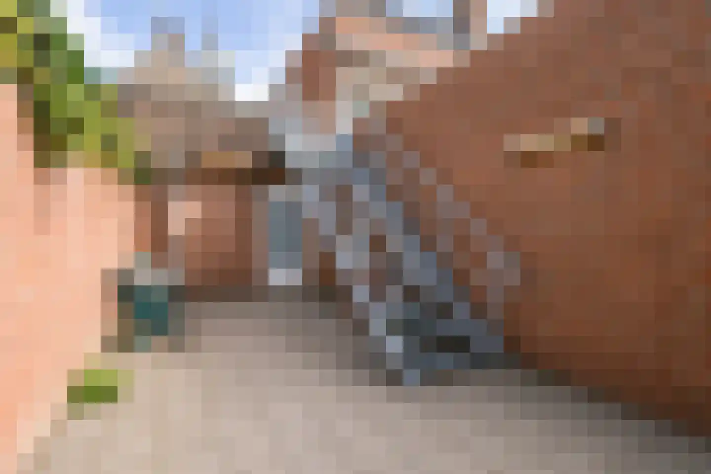 Markt 16 Axel thumbnail 30