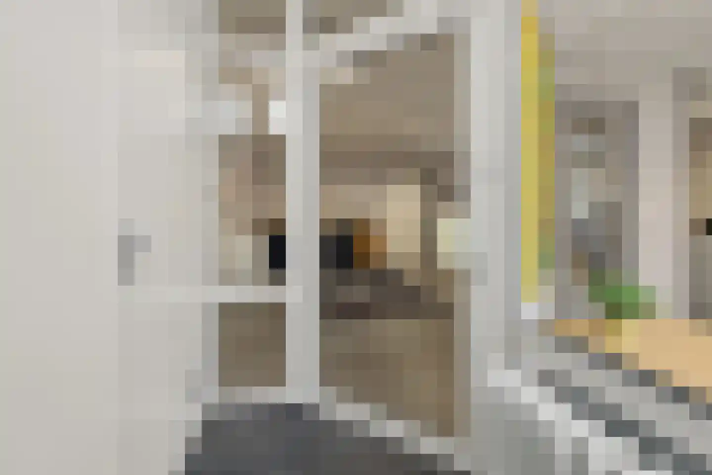 Markt 16 Axel thumbnail 34