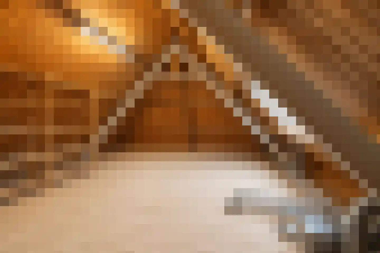 Markt 16 Axel thumbnail 82