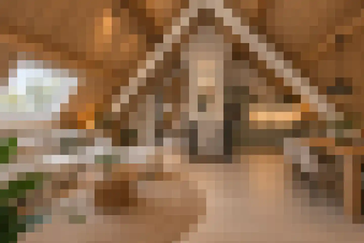 Markt 16 Axel thumbnail 84