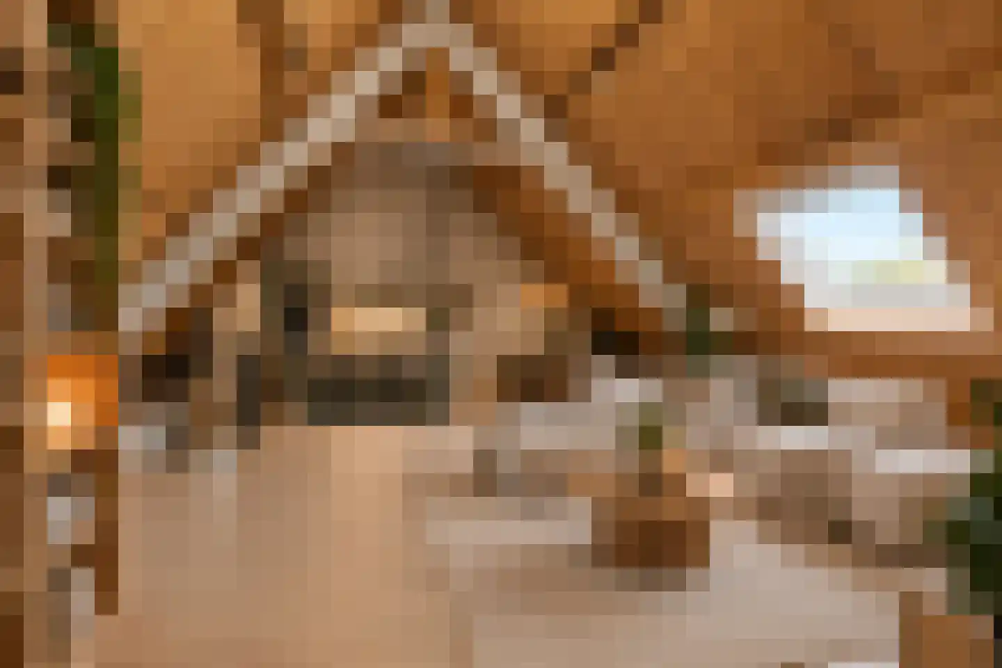Markt 16 Axel thumbnail 85