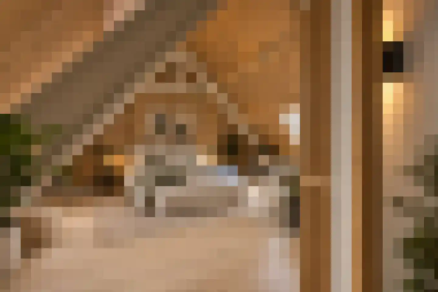 Markt 16 Axel thumbnail 86