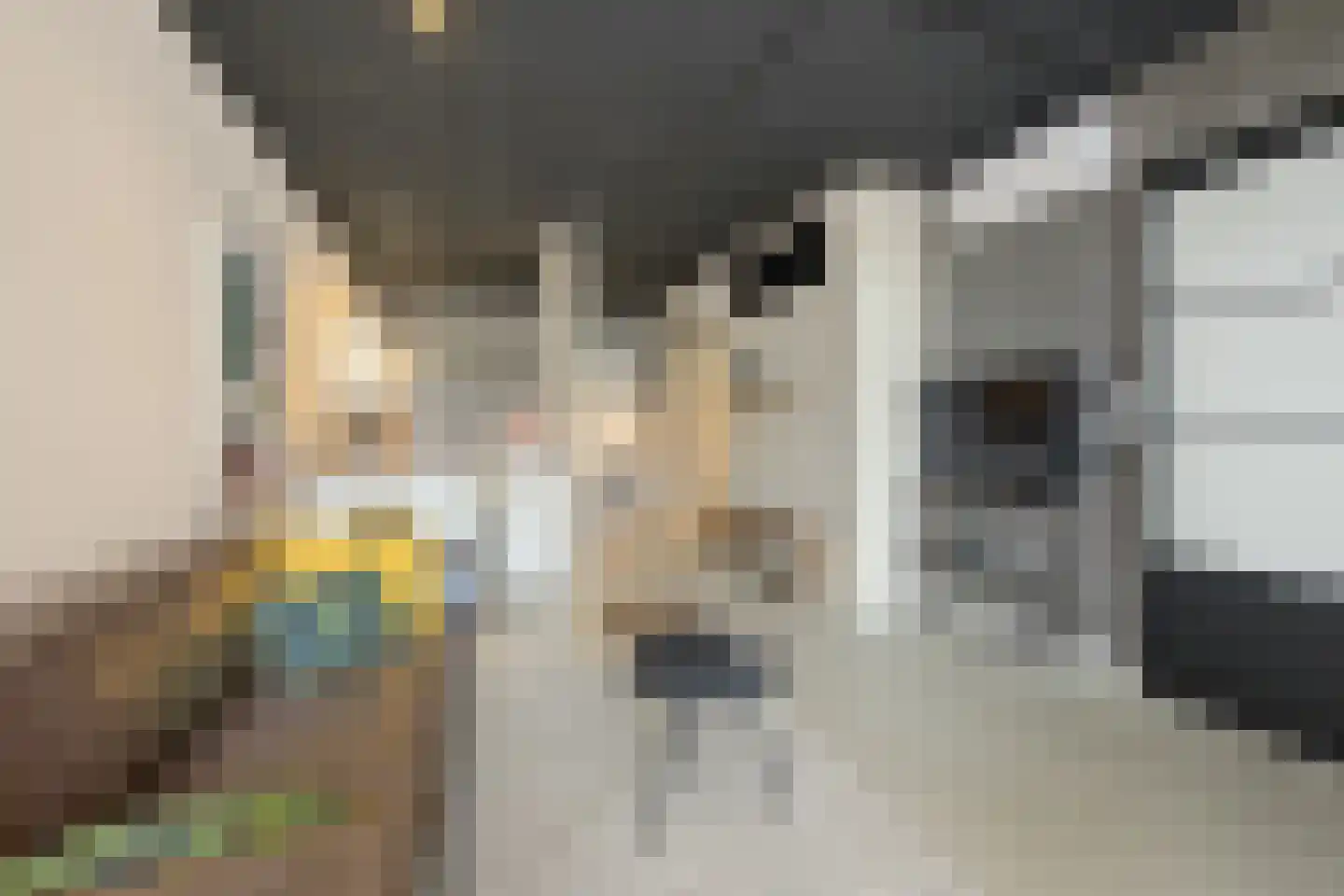 Markt 16 Axel thumbnail 9