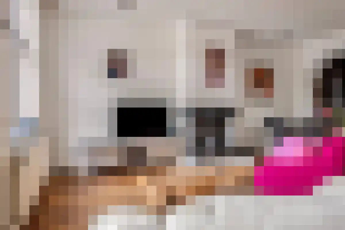 Markt 16 Lottum thumbnail 13