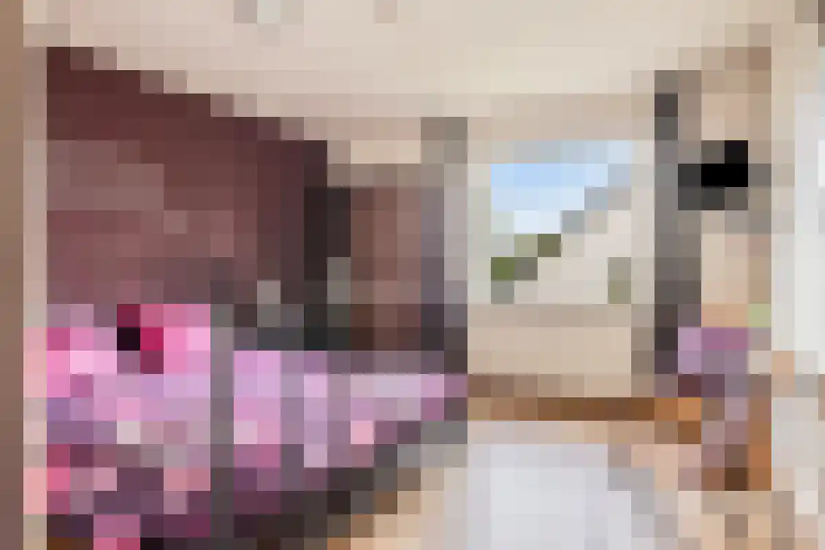Markt 16 Lottum thumbnail 27