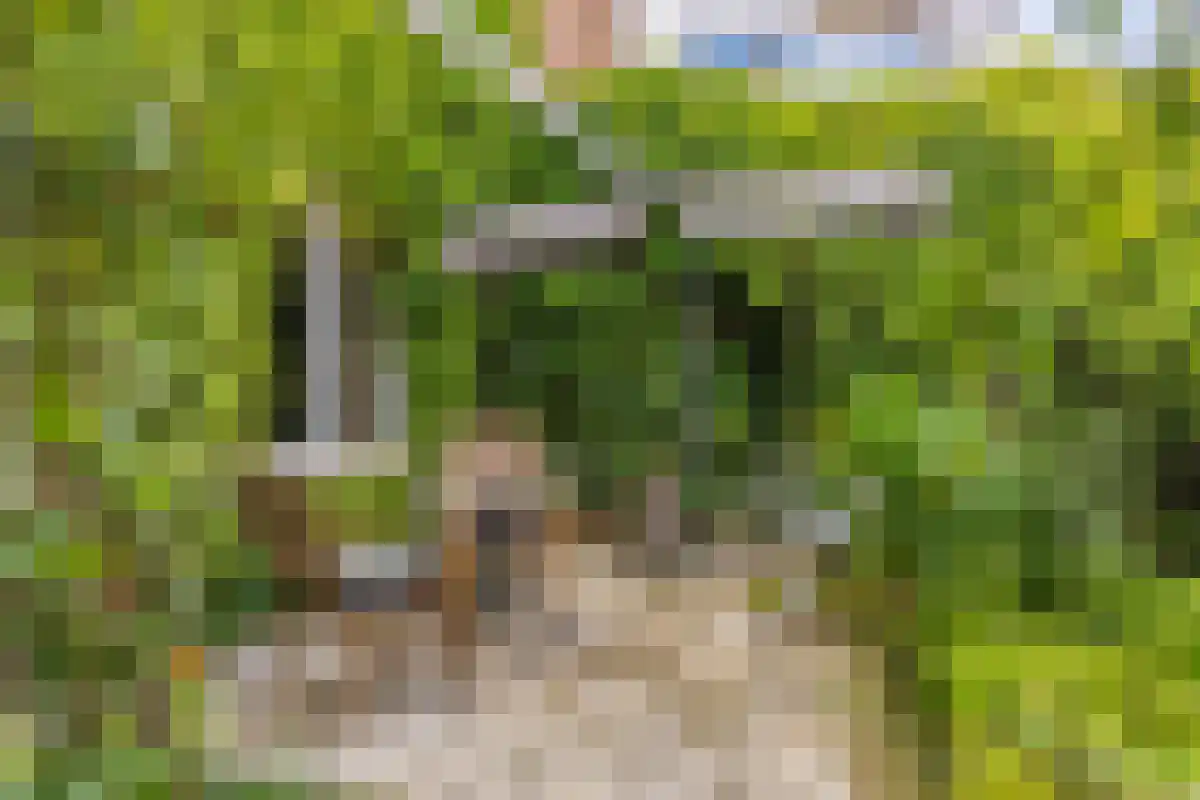 Markt 16 Lottum thumbnail 41