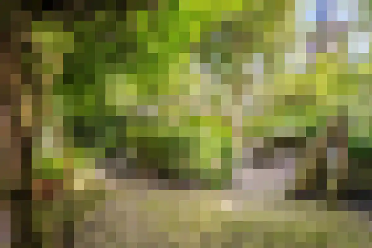Markt 16 Lottum thumbnail 44