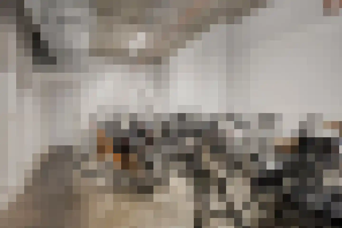 Markt 16 S Eindhoven thumbnail 19