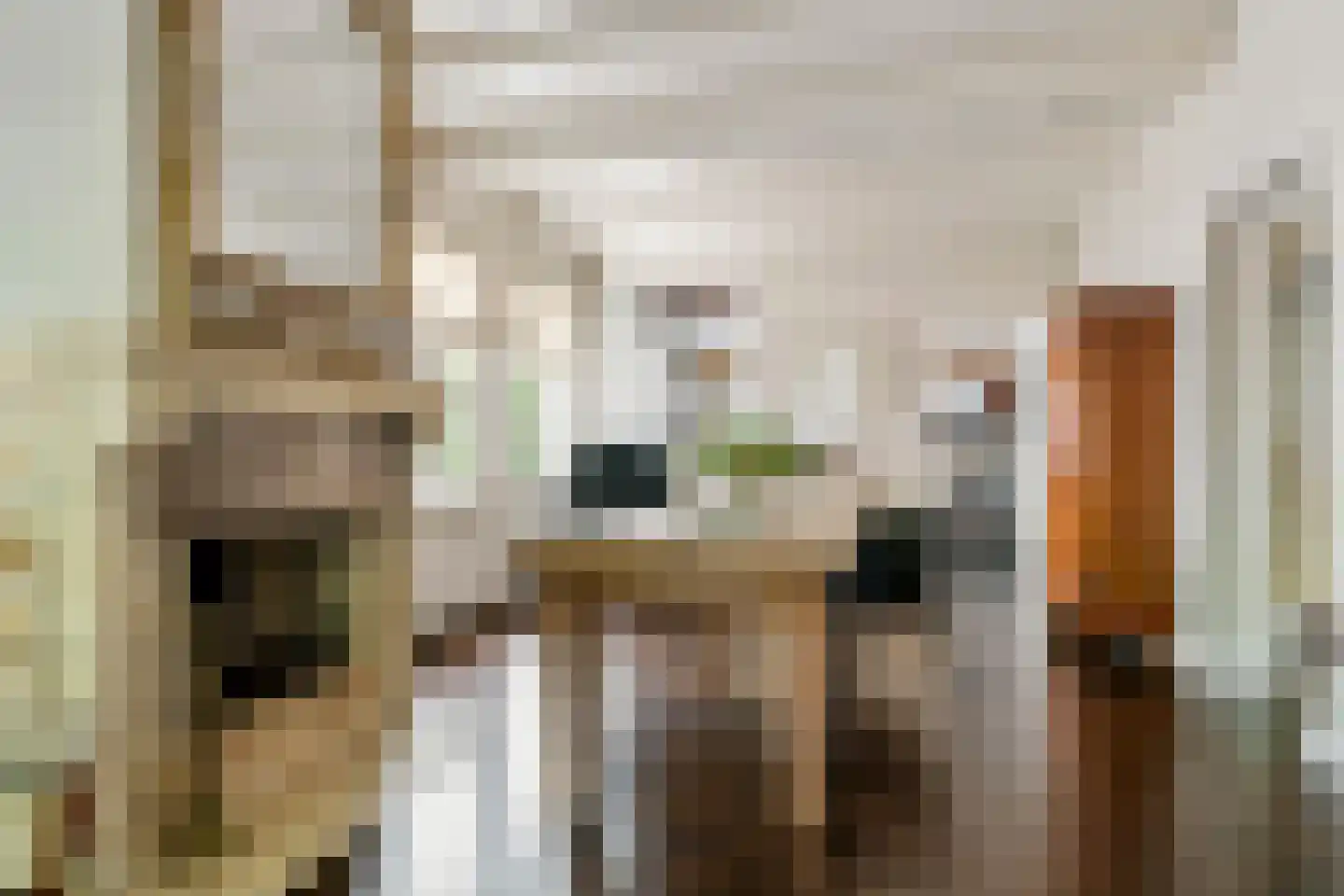 Markt 17 Beusichem thumbnail 14