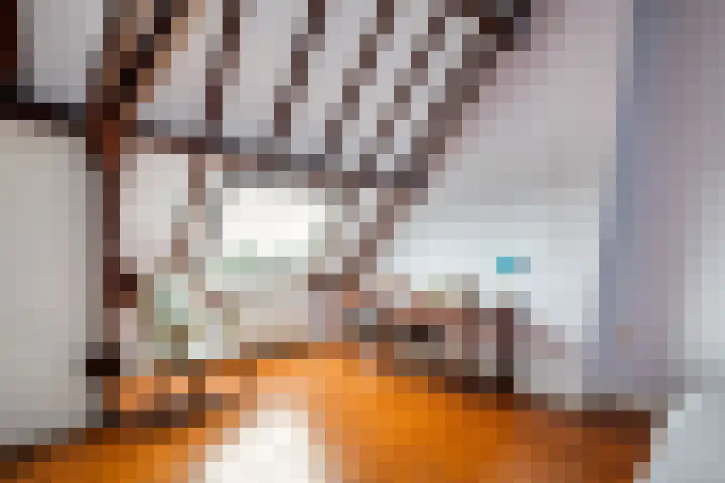 Markt 17 Beusichem thumbnail 58