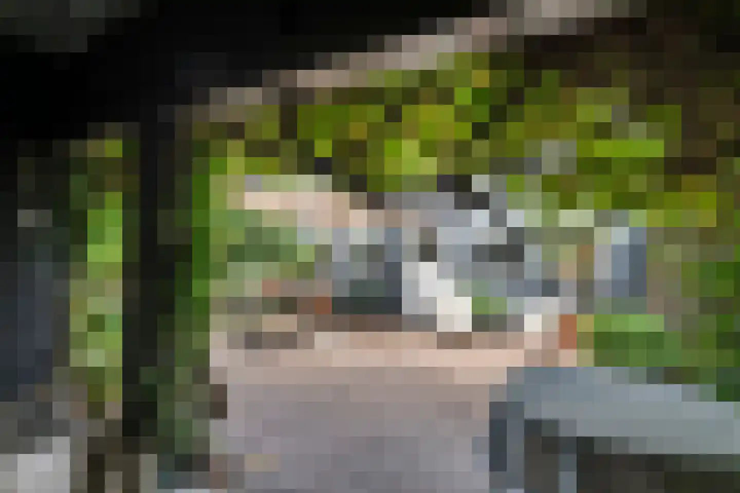 Markt 17 Beusichem thumbnail 62