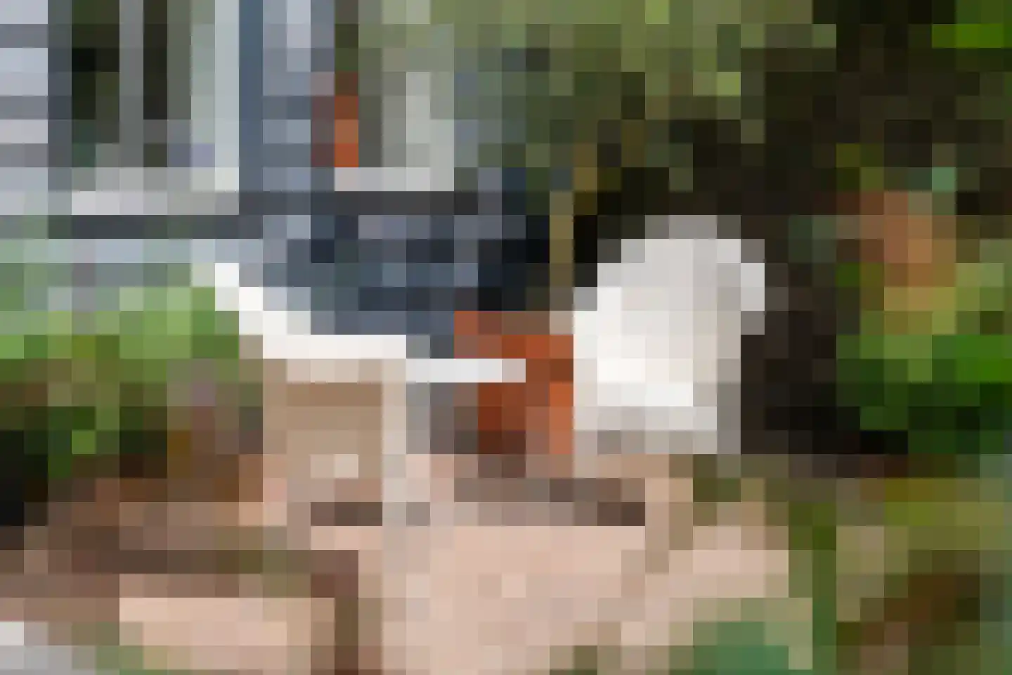 Markt 17 Beusichem thumbnail 66