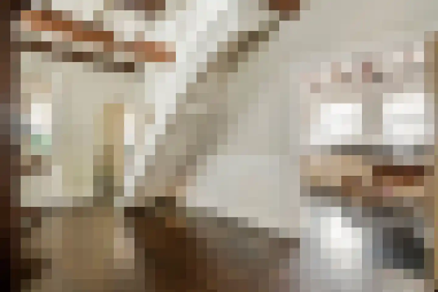 Markt 17 Beusichem thumbnail 8