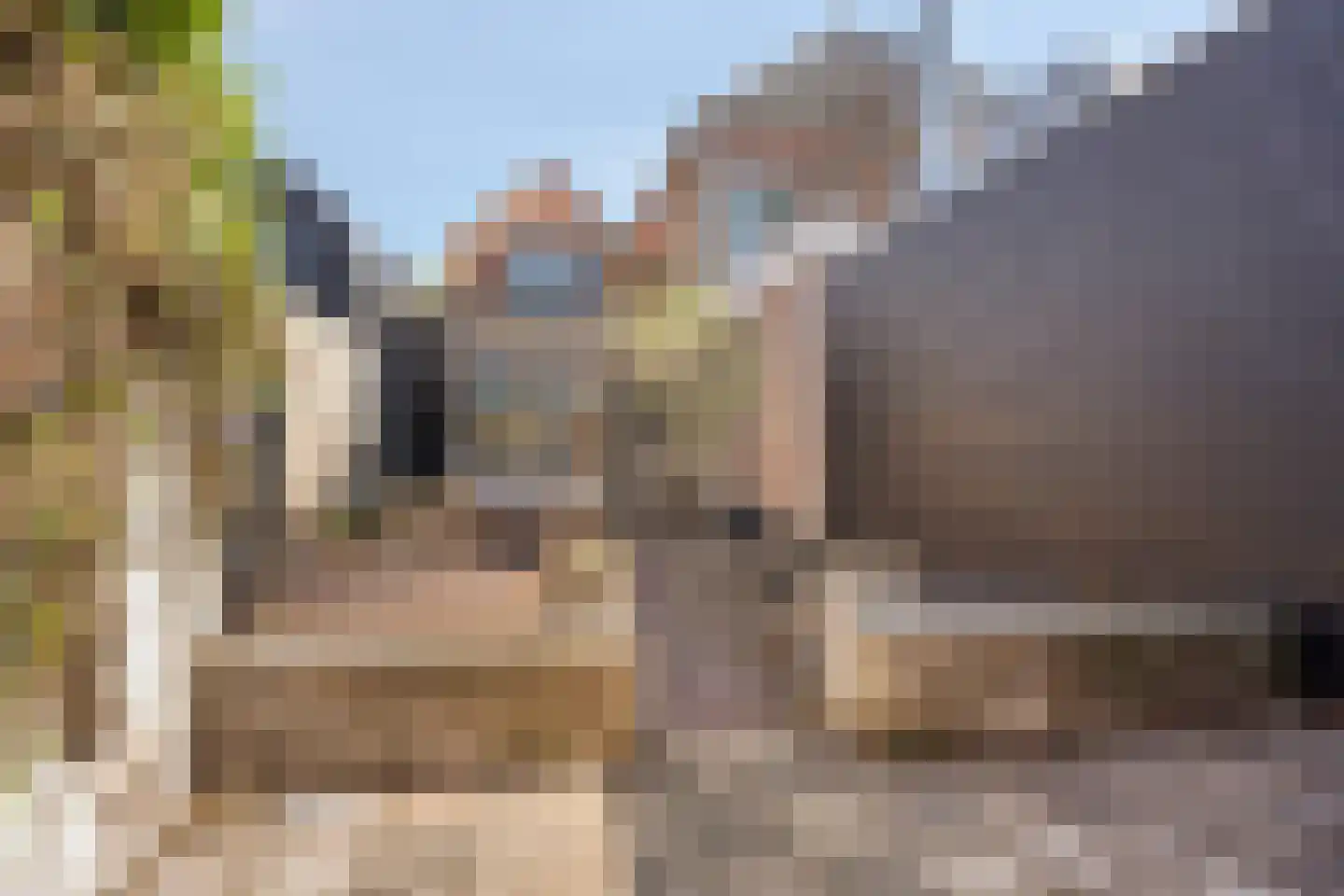Markt 17 Brouwershaven thumbnail 32